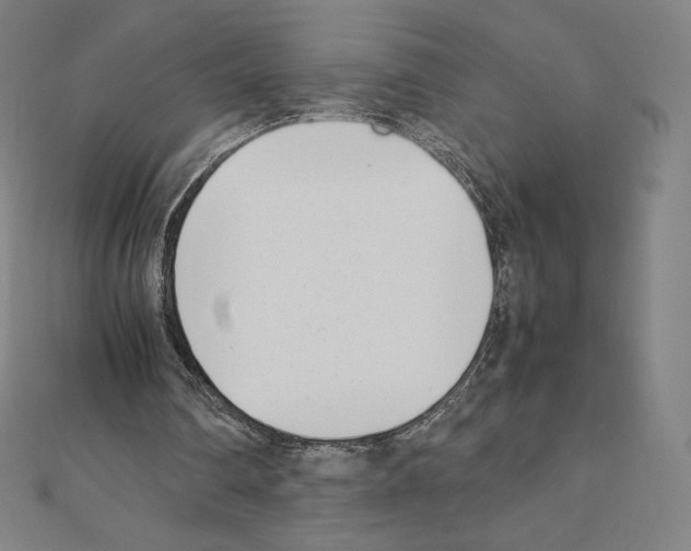 X0000111430290200908241127