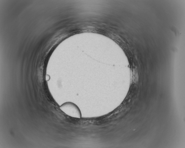 X0000111430291200908241127