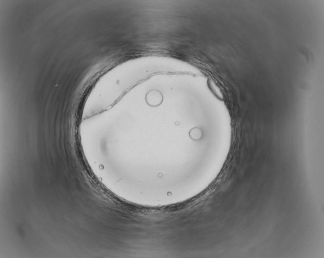 X0000111430293200908241127