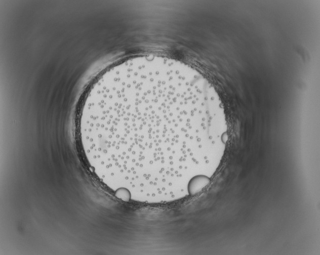 X0000111430294200908241127