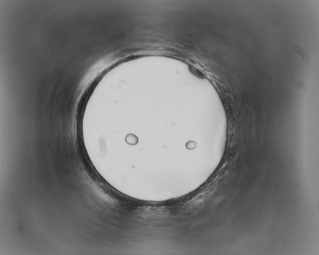 X0000111430296200908241127