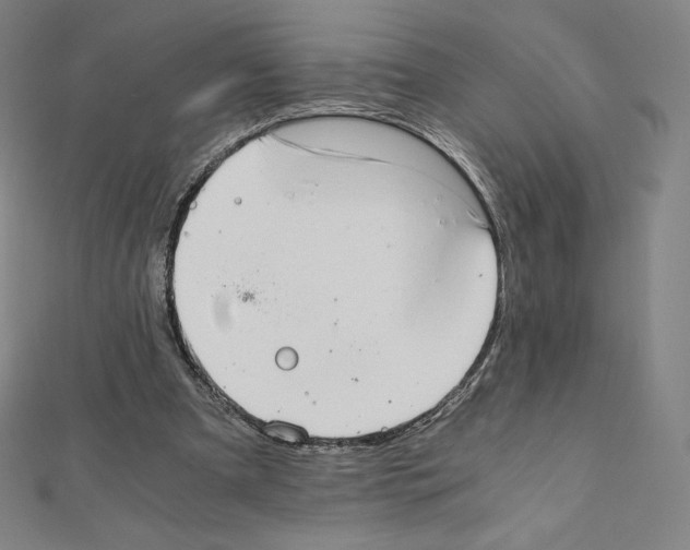 X0000111430297200908241127