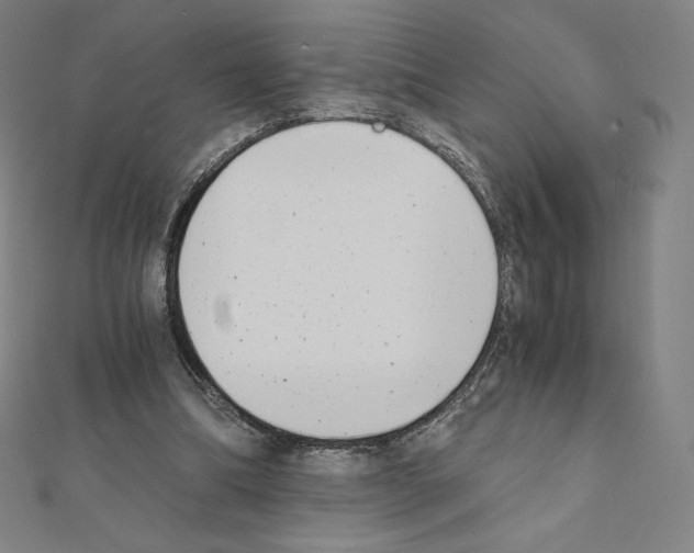 X0000111430298200908241127