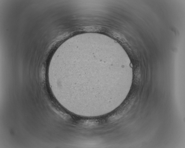 X0000111430303200908241127