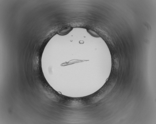 X0000111430308200908241127
