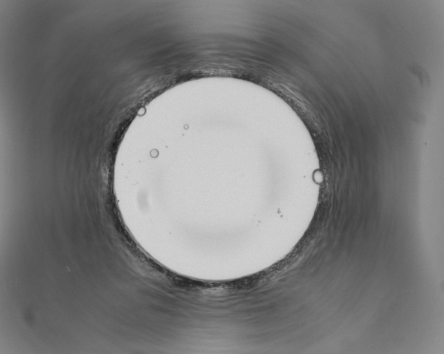 X0000111430309200908241127