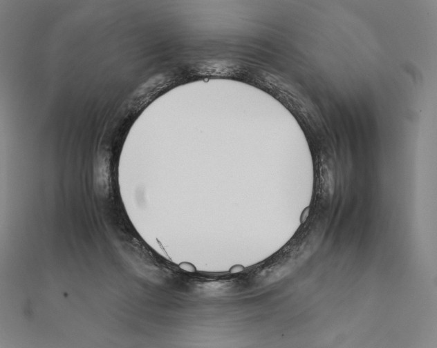 X0000111430312200908241127
