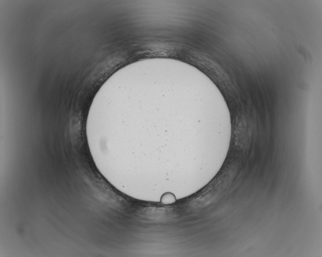 X0000111430314200908241127