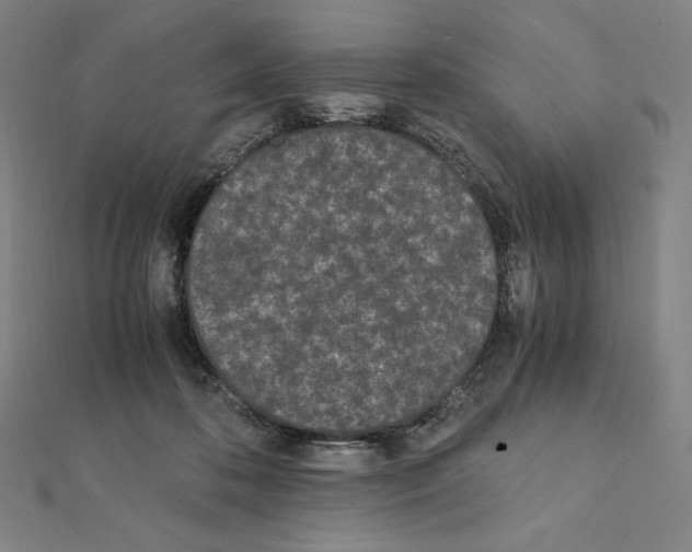 X0000111430316200908241127