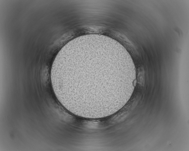 X0000111430318200908241127