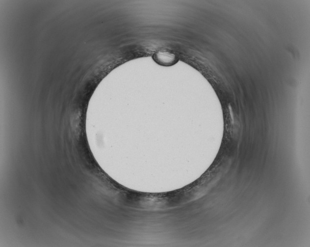 X0000111430319200908241127