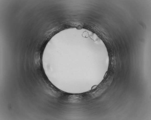 X0000111430320200908241127
