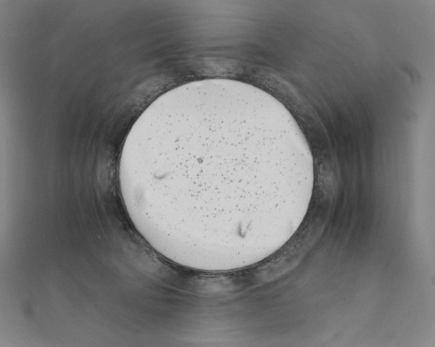 X0000111430322200908241127