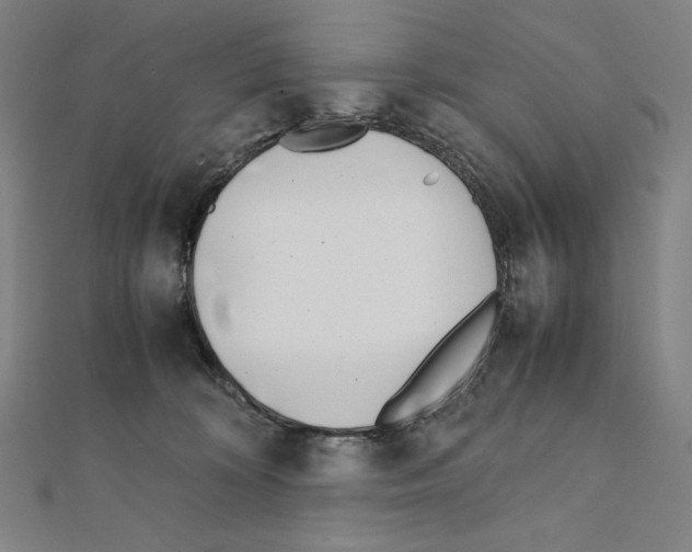 X0000111430324200908241127
