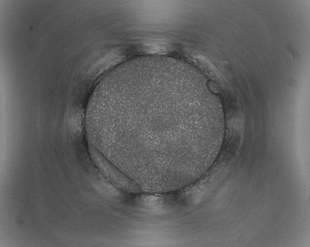 X0000111430325200908241127