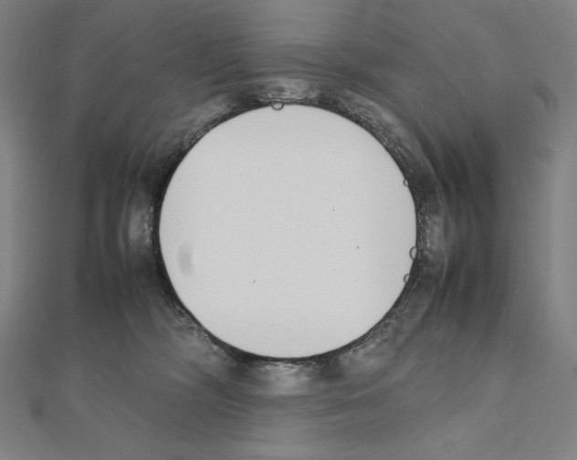 X0000111430326200908241127