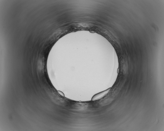 X0000111430328200908241127