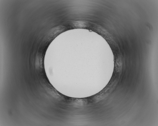 X0000111430330200908241127