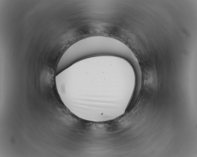X0000111430332200908241127