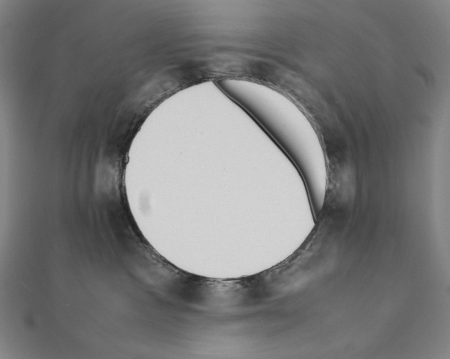 X0000111430333200908241127