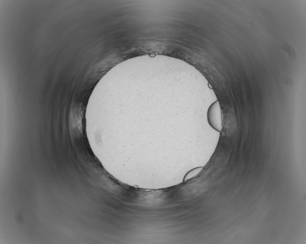 X0000111430334200908241127