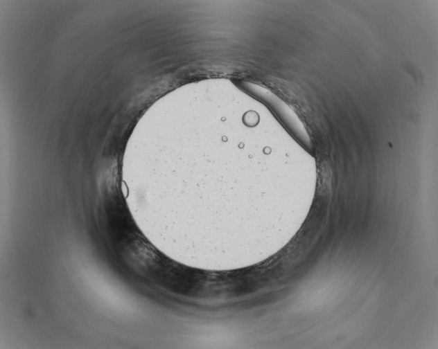 X0000111430335200908241127
