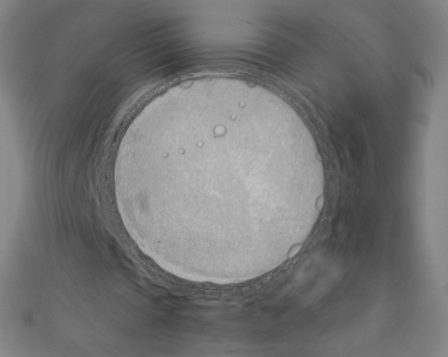 X0000111430337200908241126