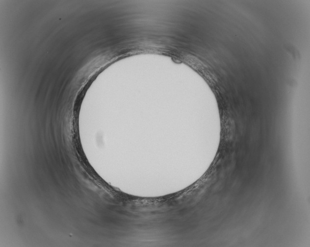 X0000111430338200908241126