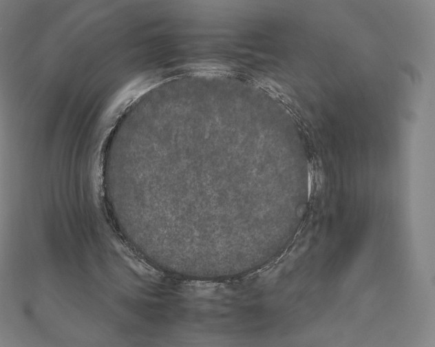 X0000111430339200908241126