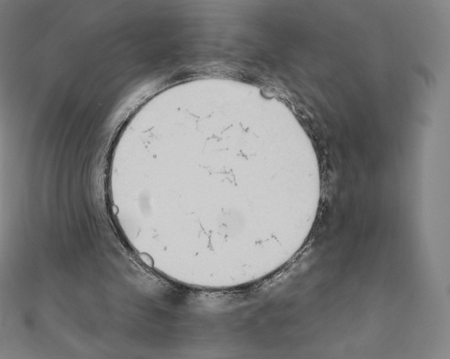 X0000111430341200908241126