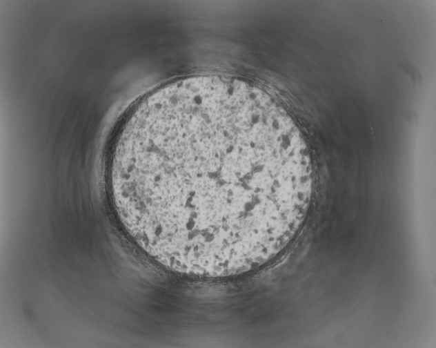 X0000111430343200908241126