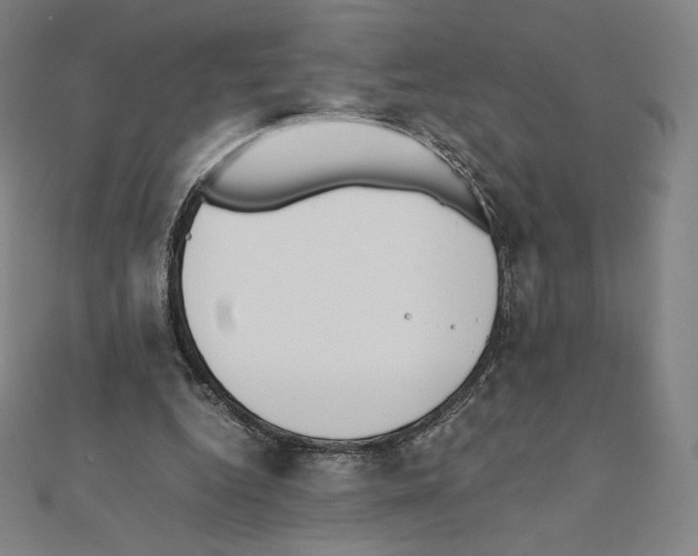 X0000111430344200908241126
