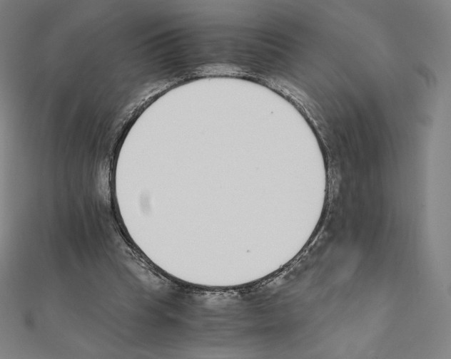 X0000111430345200908241126