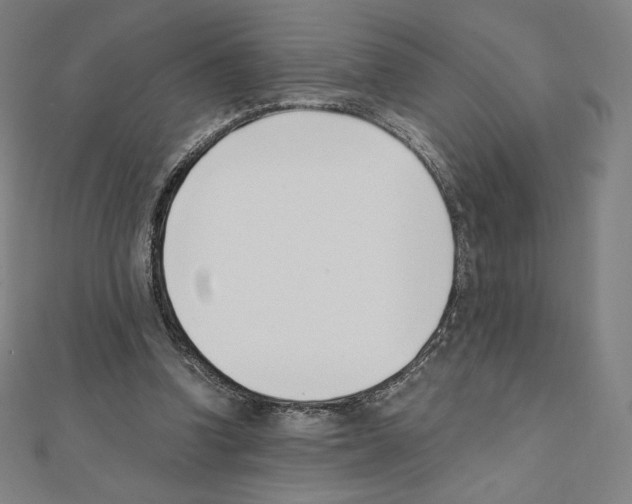 X0000111430346200908241126