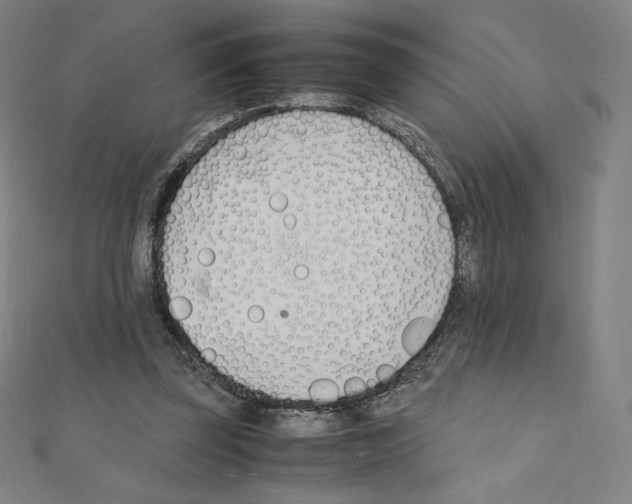 X0000111430347200908241126