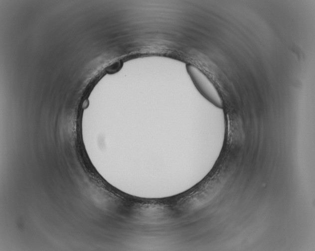 X0000111430348200908241126