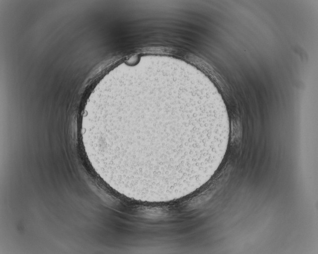 X0000111430349200908241126