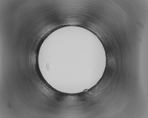X0000111430350200908241126