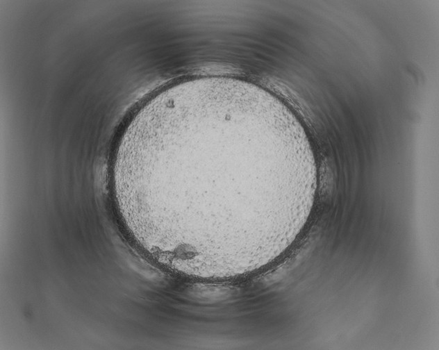 X0000111430351200908241126