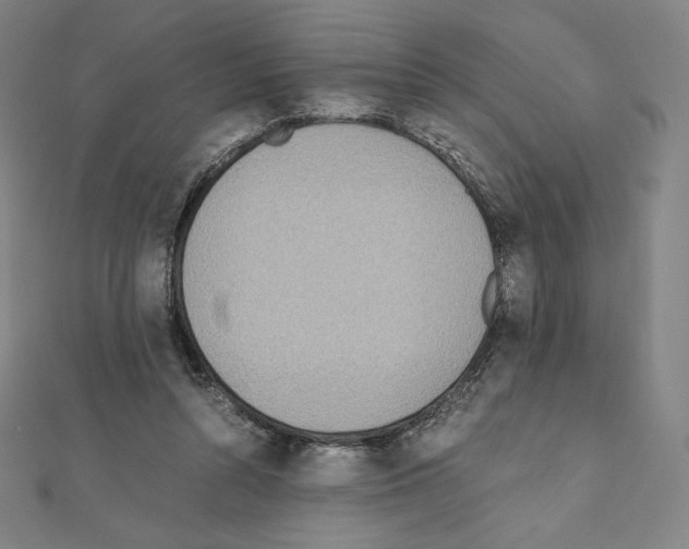 X0000111430352200908241126