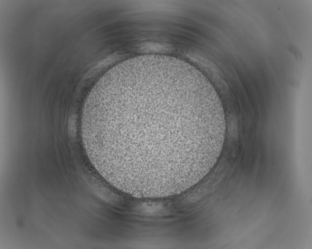 X0000111430353200908241126