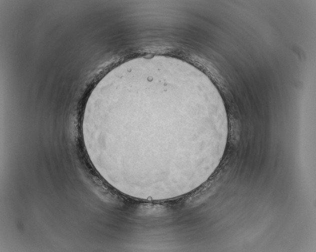 X0000111430354200908241126