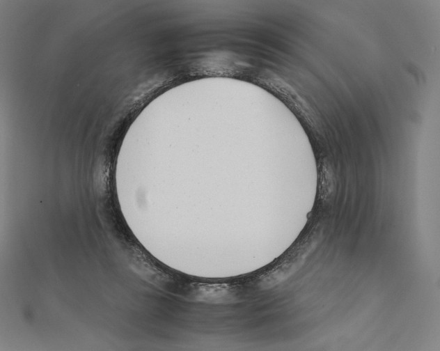 X0000111430355200908241126