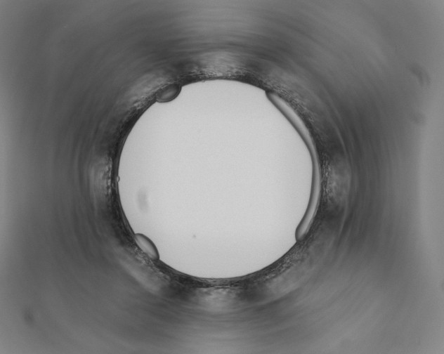 X0000111430356200908241126