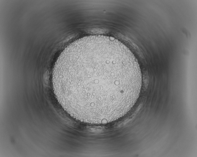 X0000111430359200908241126