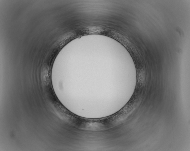 X0000111430360200908241126