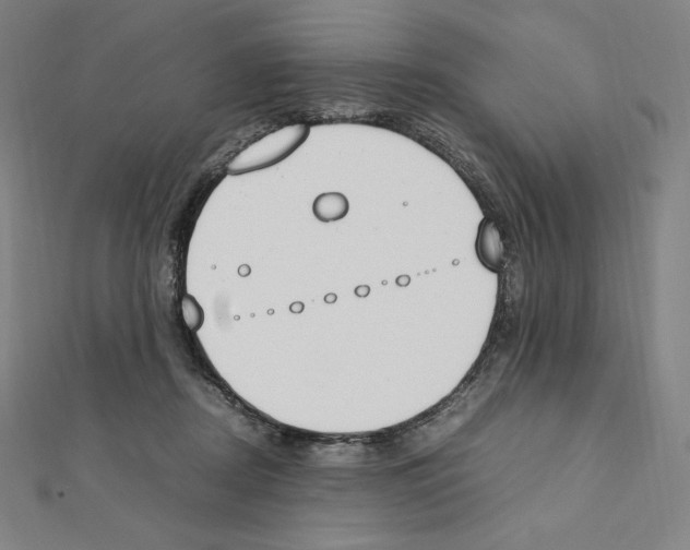 X0000111430362200908241126