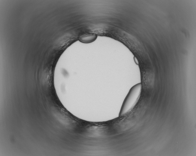 X0000111430364200908241126