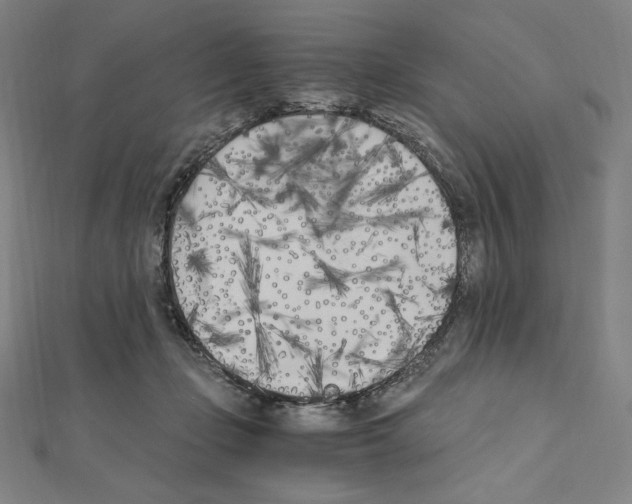 X0000111430365200908241126