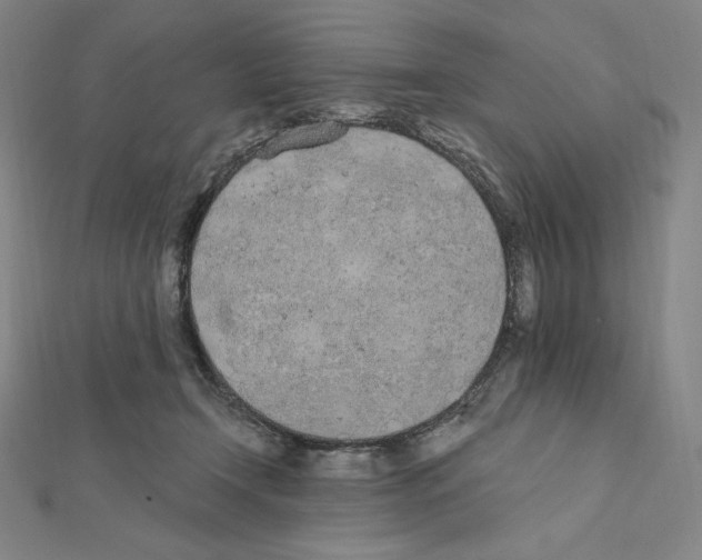 X0000111430366200908241126